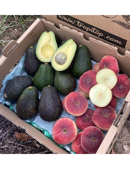 Acquista Avocado Hass e Pesche Piatte Online | Tropitop