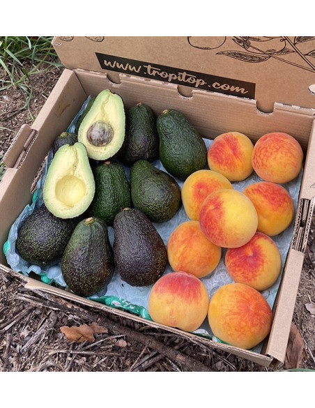 Acquista Avocado Hass e Pesche Gialle Online | Tropitop