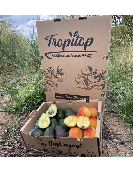Acquista Avocado Hass e Pesche Gialle Online | Tropitop
