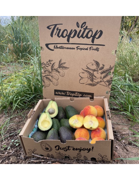 Acquista Avocado Hass e Pesche Gialle Online | Tropitop