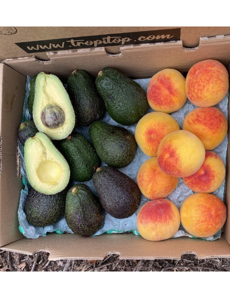 Acquista Avocado Hass e Pesche Gialle Online | Tropitop
