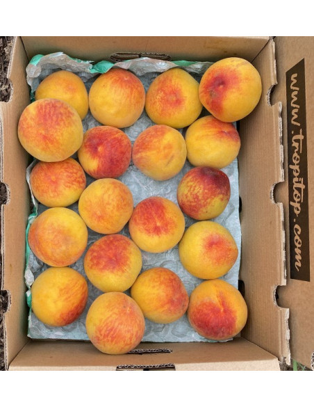 Comprar Pêssego Amarelo Online | Fruta Fresca de Época