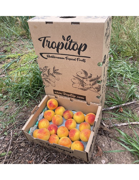 Comprar Pêssego Amarelo Online | Fruta Fresca de Época