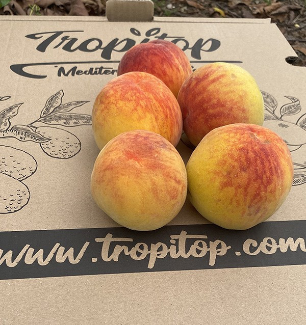 Acquista Pesche Gialle Online | Frutta di Stagione dal Produttore