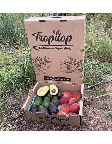 Comprar Aguacates Hass y Melocotón Rojo Online en Tropitop