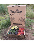 Aguacate y melocotón rojo