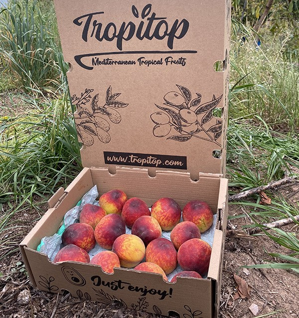 Buy Red Peaches Online | Seasonal Fruit Direct from the Farmer