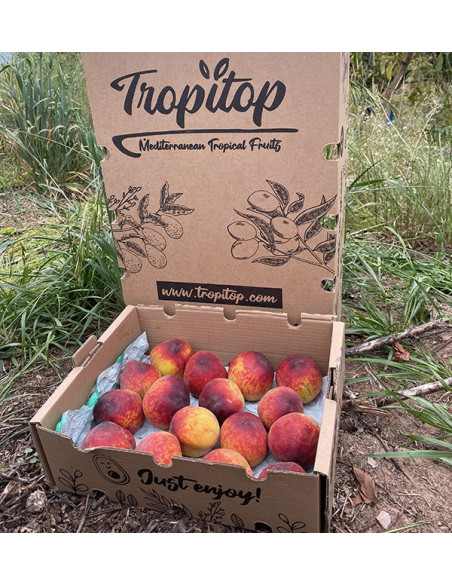 Comprar Pêssego Vermelho Online | Fruta Fresca de Época