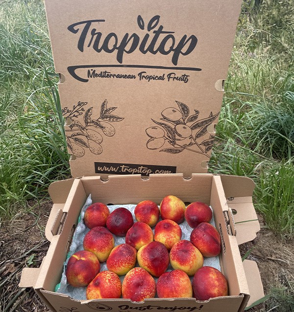 Comprar Nectarinas Online en Tropitop | Fruta de Verano Directa del Agricultor