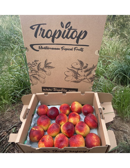 Comprar Nectarinas Online en Tropitop | Fruta de Verano Directa del Agricultor