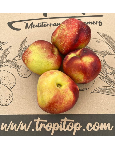 Comprar Nectarinas Online en Tropitop | Fruta de Verano Directa del Agricultor