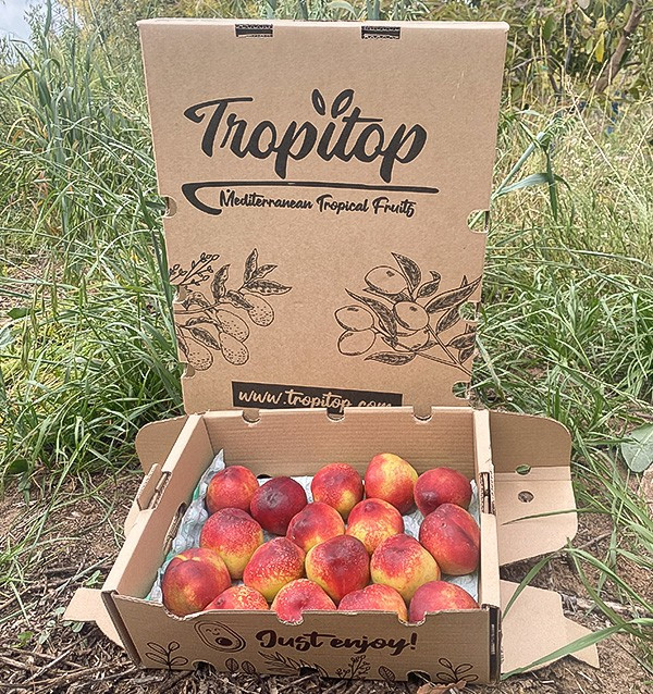 Acquista Nettarine Online | Frutta Estiva Direttamente dal Produttore