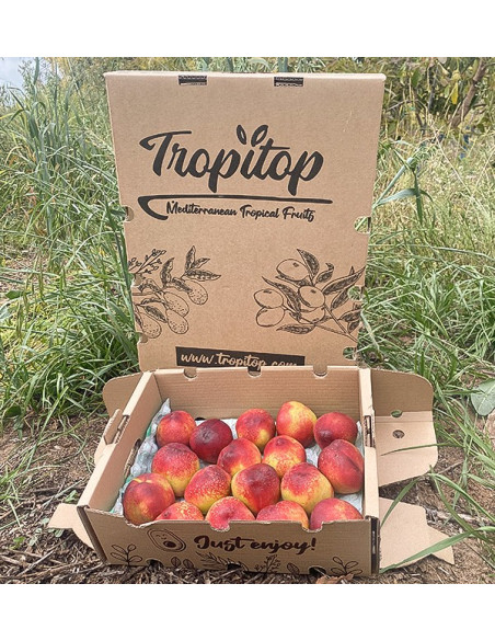 Comprar Nectarinas Online en Tropitop | Fruta de Verano Directa del Agricultor