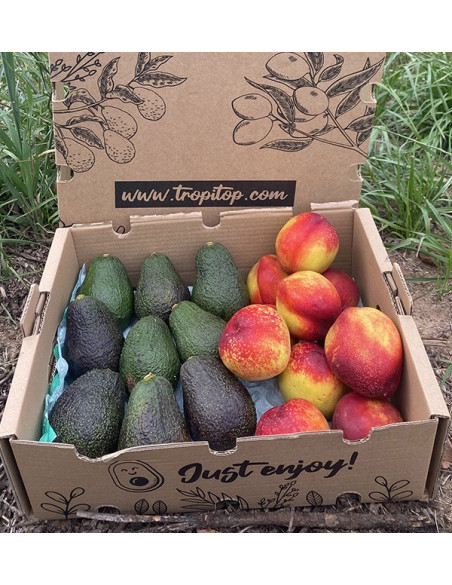 Avocados Hass und Nektarinen Online Kaufen | Tropitop