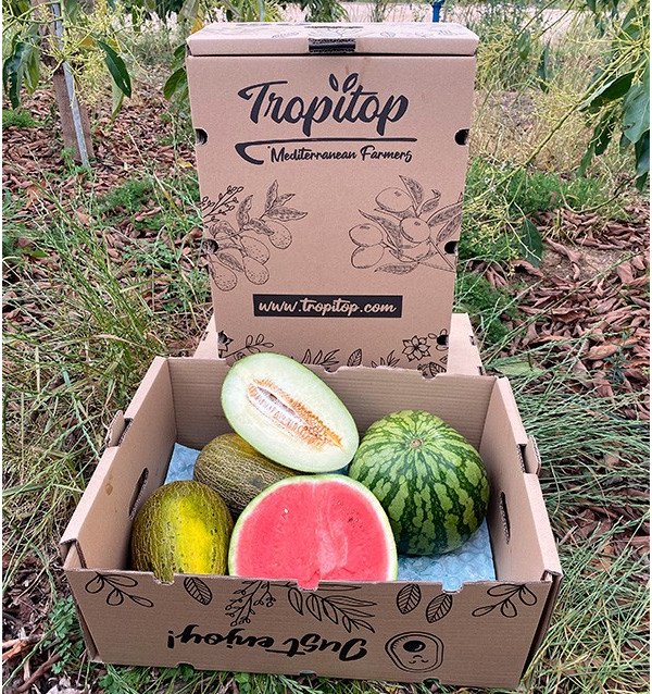 Acheter Pastèque Rayée et Melons Piel de Sapo en ligne | Tropitop