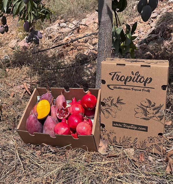 Buy pomegranate and mango online at Tropitop