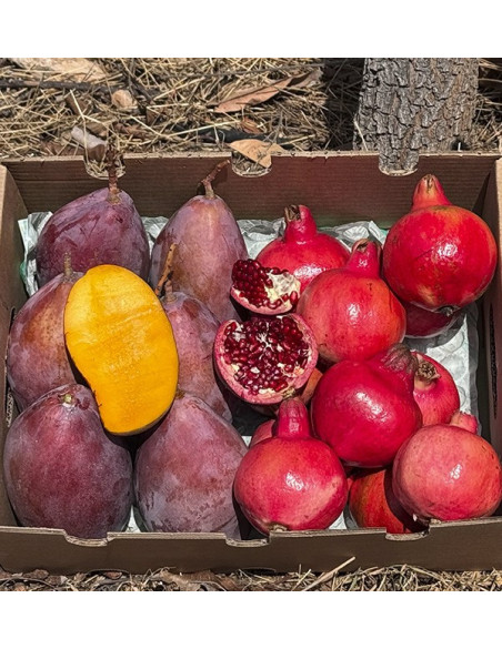 Comprar granada y mango online en Tropitop