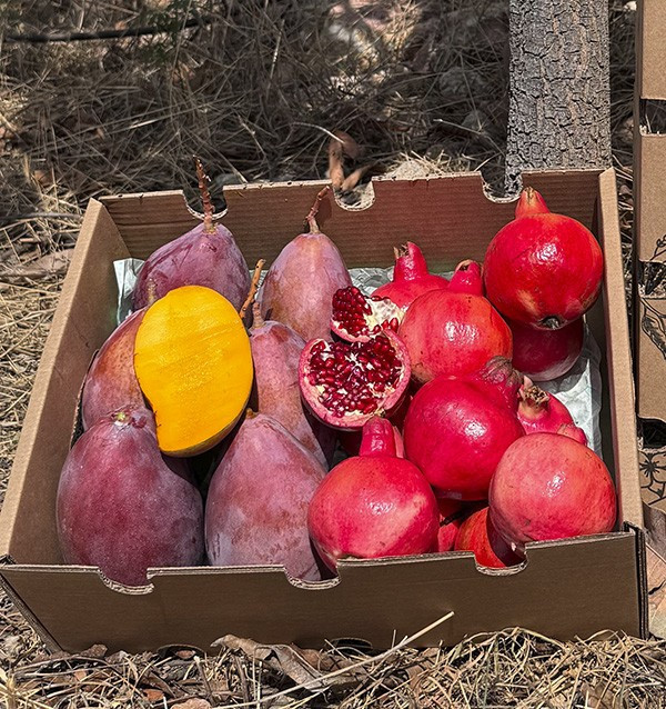Acheter grenade et mangue en ligne sur Tropitop