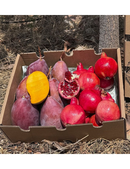Acheter grenade et mangue en ligne sur Tropitop