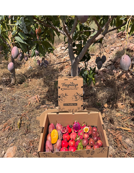 Buy Tropical Pack: passion fruit, pitahaya, mango and pomegranate | Tropitop