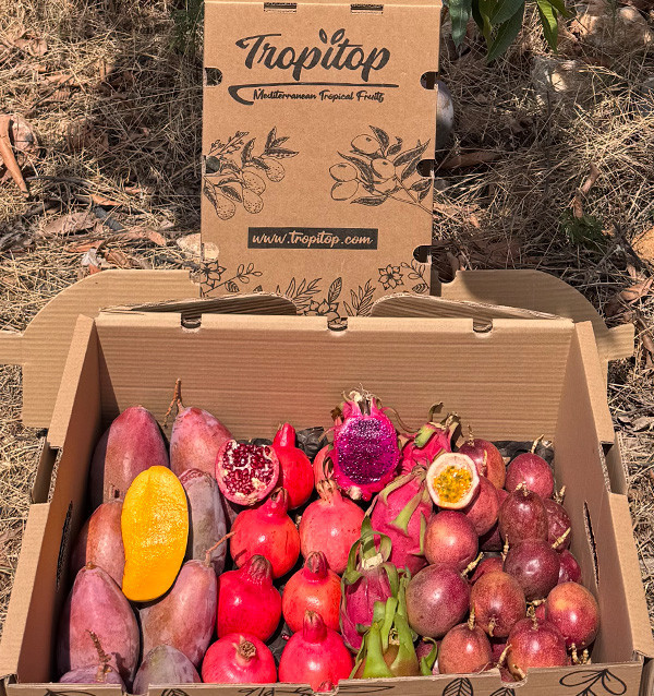 Buy Tropical Pack: passion fruit, pitahaya, mango and pomegranate | Tropitop