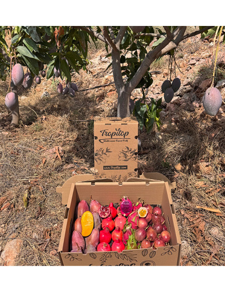 Buy Tropical Pack: passion fruit, pitahaya, mango and pomegranate | Tropitop