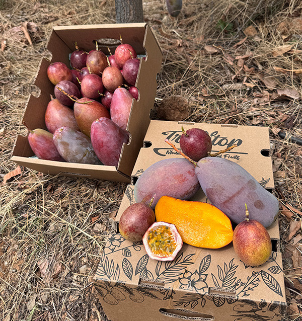 Acheter Mangue et Fruit de la Passion Frais en Ligne | Tropitop Espagne