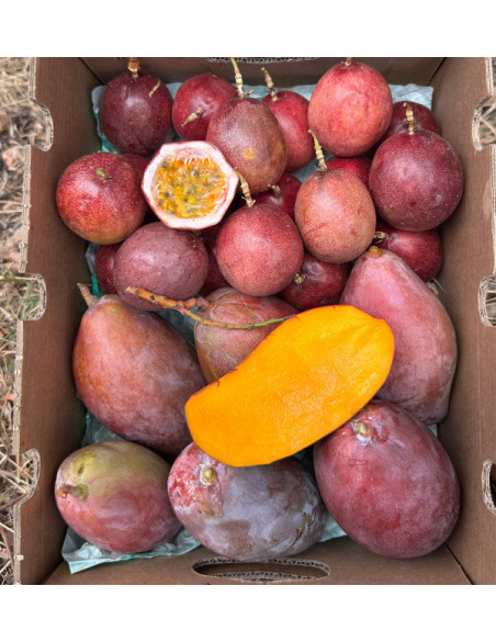 Acheter Mangue et Fruit de la Passion Frais en Ligne | Tropitop Espagne