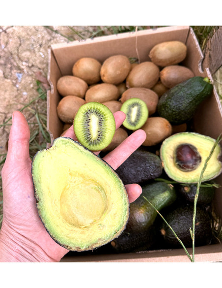 Kiwis und Hass-Avocados online bei Tropitop kaufen