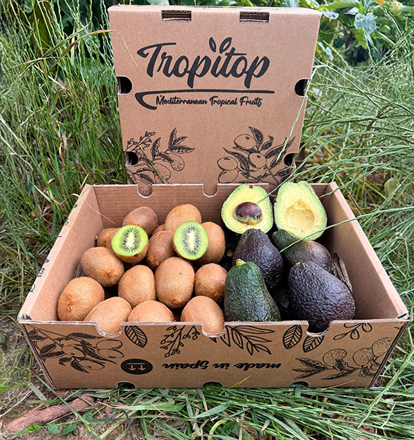Kiwis und Hass-Avocados online bei Tropitop kaufen