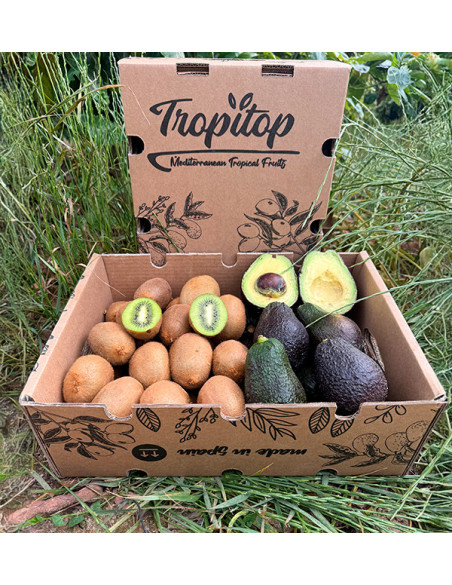 Kiwis und Hass-Avocados online bei Tropitop kaufen