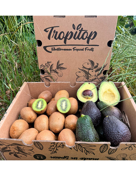 Comprar Kiwis y Aguacates hass Online en Tropitop