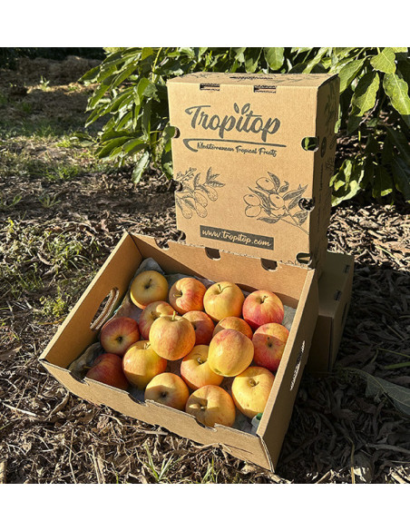 Comprare Mele Fuji Online | Tropitop