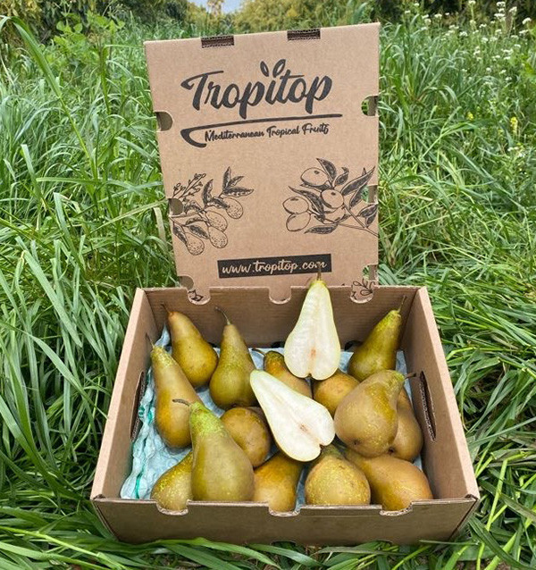 Birnen Online Kaufen | Tropitop