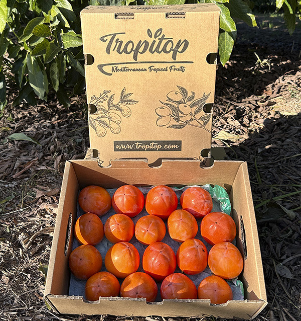 Comprar Dióspiro Online | Tropitop