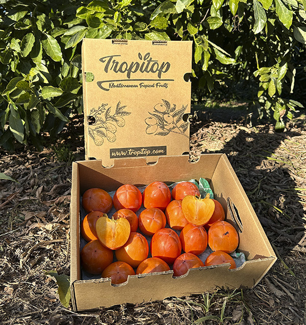 Comprar Dióspiro Online | Tropitop