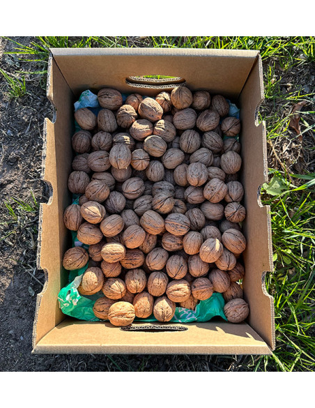 Comprar Nueces Online | Tropitop