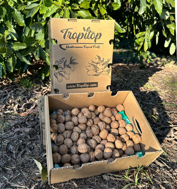 Acquistare Noci Online | Tropitop