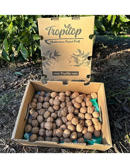 Comprar Nueces Online | Tropitop