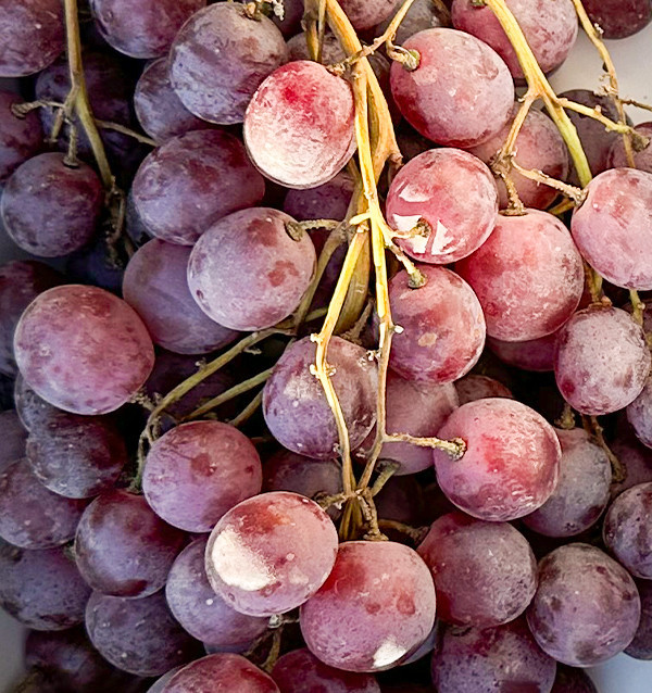 Comprar Uva Roja Online en Tropitop | Fresca, Dulce y Directa del Campo