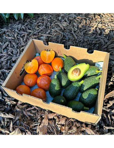 Comprar Aguacates Hass y Caquis Online | Mix de Fruta Fresca – Tropitop