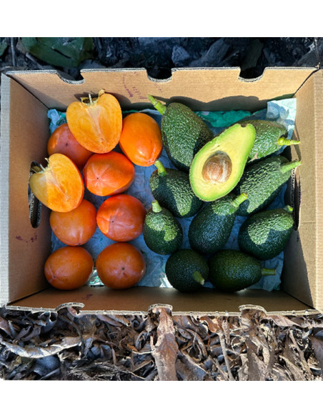 Comprar Abacates Hass e Caquis Online | Mix de Fruta Fresca – Tropitop