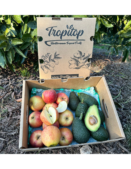 Buy Hass Avocados and Fuji Apples Online | Tropitop