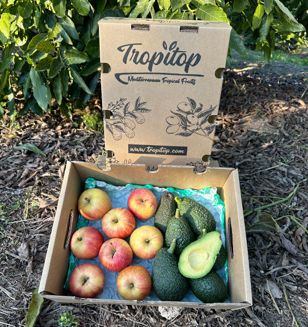 Hass-Avocados und Fuji-Äpfel online kaufen | Tropitop