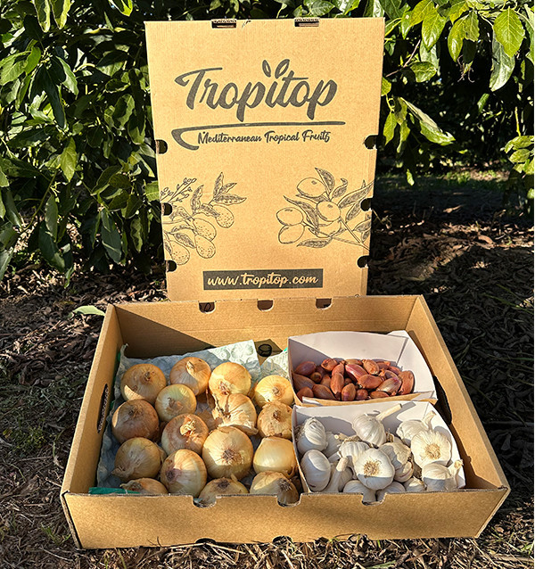 Cipolle, Aglio e Scalogno | Pack Basi di Cucina – Tropitop