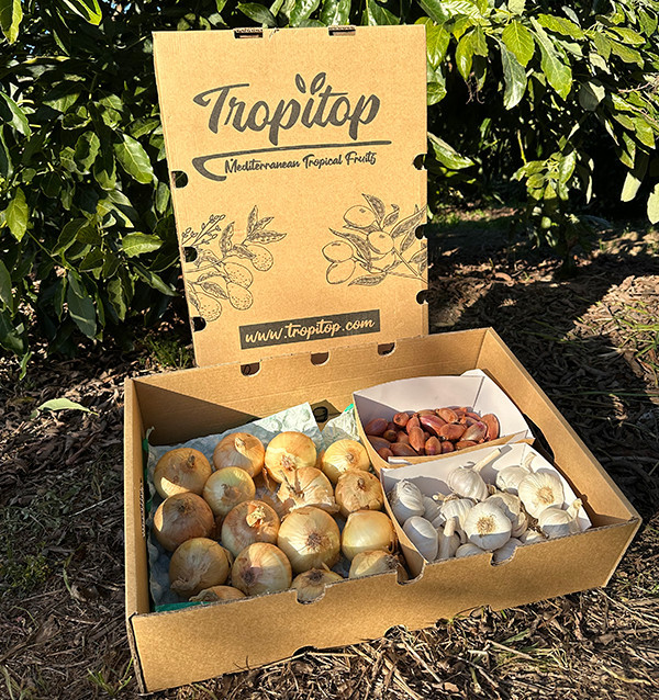 Pack Cebollas, Ajos y Chalotas | Básicos de Cocina Online – Tropitop