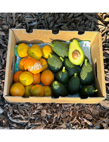 Avocados and Valencian Clementines