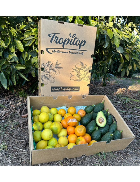 Mix de tangerinas, abacates e limões - Venda direta do agricultor
