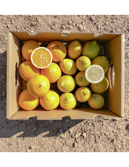 Laranjas e limões | Frutas on-line