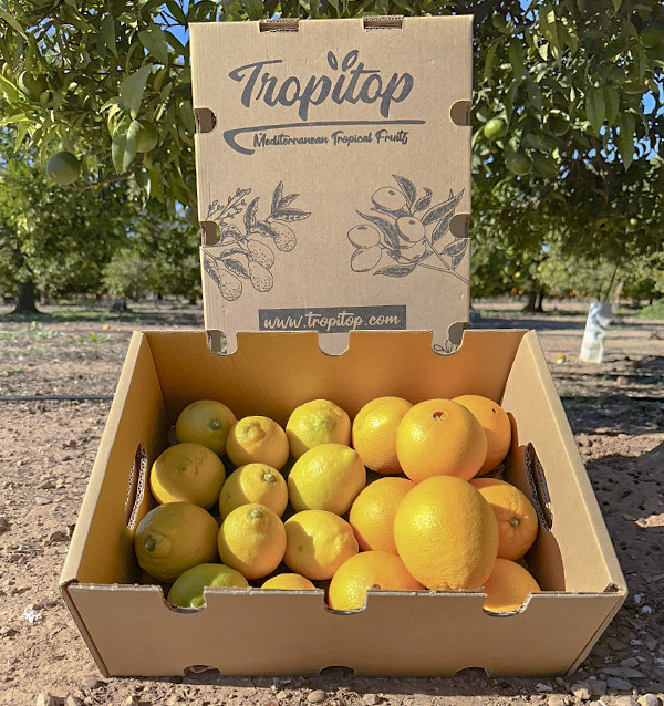 Laranjas e limões | Frutas on-line